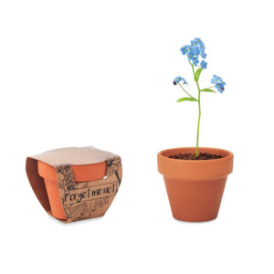 Terracotta pot with forget-me-not seeds – Brown