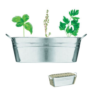 Galvanised pot with three herb seeds – Silver