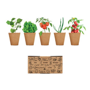 Vegetable growing kit – Brown