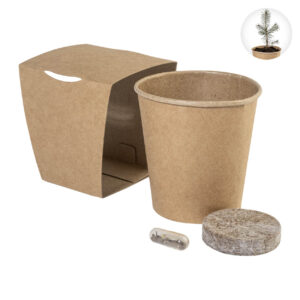 Christmas tree growing kit with seed capsule and peat disc – Natural